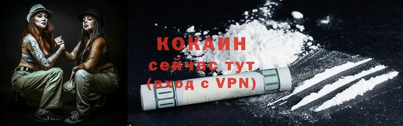 где найти наркотики  Павловский Посад  Cocaine Эквадор 