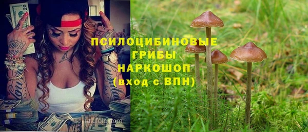 ПСИЛОЦИБИНОВЫЕ ГРИБЫ Бородино