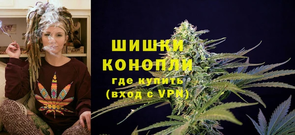 стаф Валдай