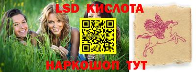 ПСИЛОЦИБИНОВЫЕ ГРИБЫ Заволжье