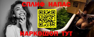 гашик Бузулук