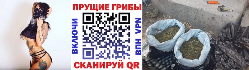 Галлюциногенные грибы GOLDEN TEACHER  Павловский Посад 