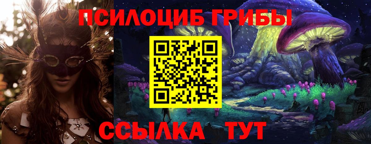 Галлюциногенные грибы мицелий Павловский Посад